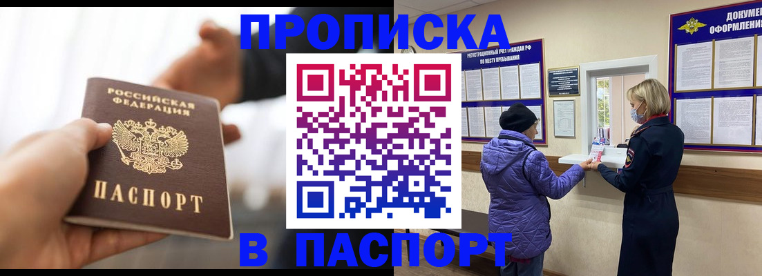 прописка законно в Сураже
